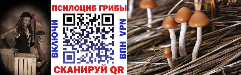 сколько стоит  Кремёнки  Псилоцибиновые грибы Psilocybine cubensis 